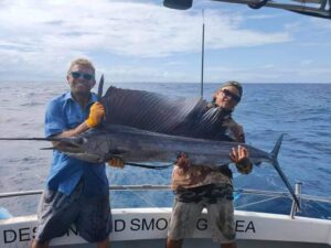 sailfish Gold coast