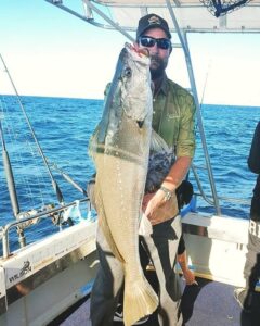 mulloway caught off Currumbin