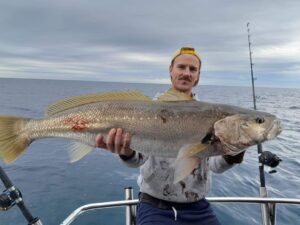 Gold coast Jewie fishing