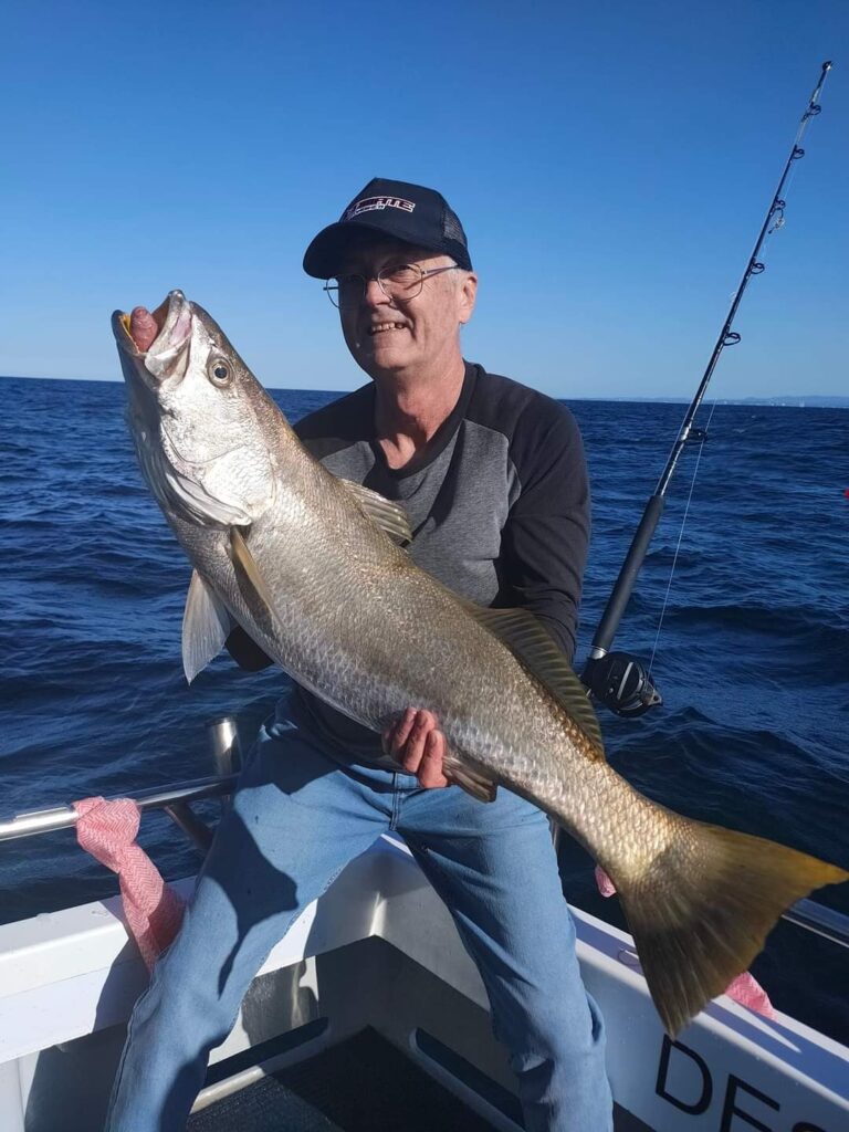 Mulloway Jewie