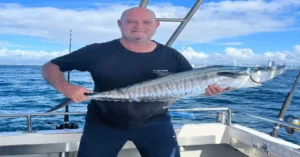 Gold coast Mackerel Fishing