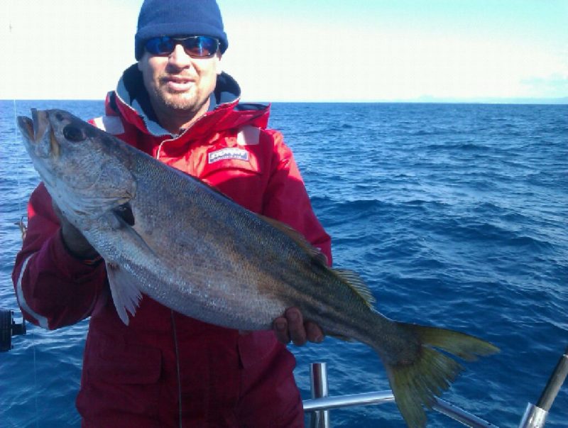 Teraglin fishing gold coast - Trag - Trag Jewfish True Blue Fishing ...