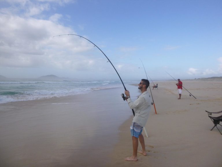 Beach Fishing Gold Coast True Blue Fishing