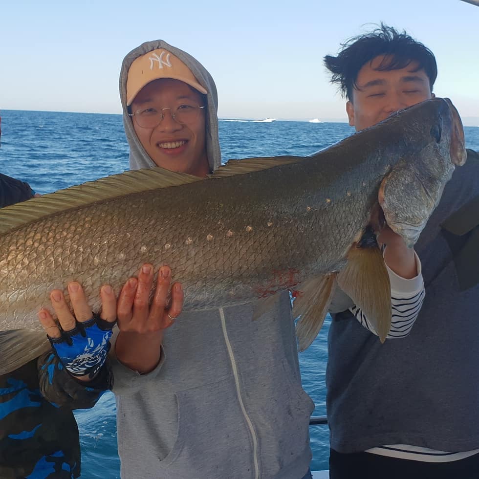 Gold coast fishing report