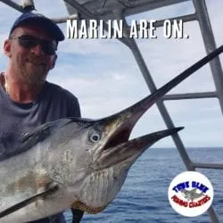 Gold Coast Fishing Charters