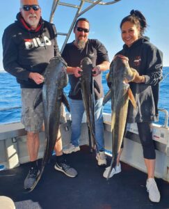 cobia fishing on the Gold Coast