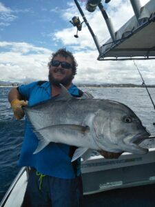 Gold coast Giant trevally