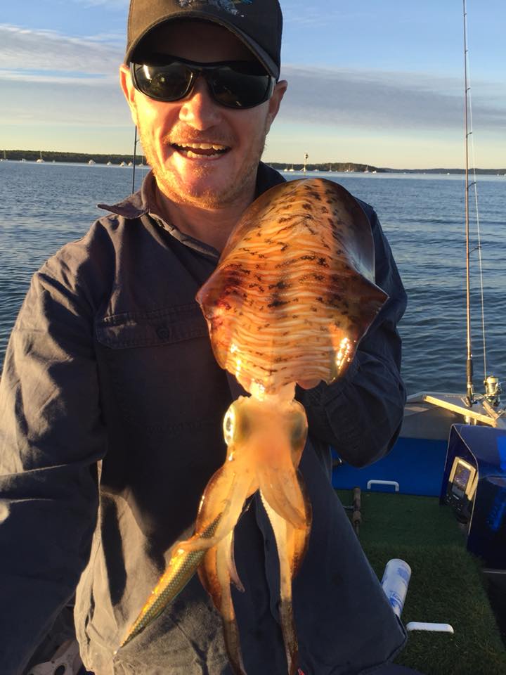 Quid fishing gold coast broadwater