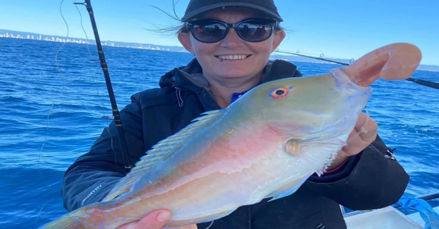 Reef Fish Goal Coast