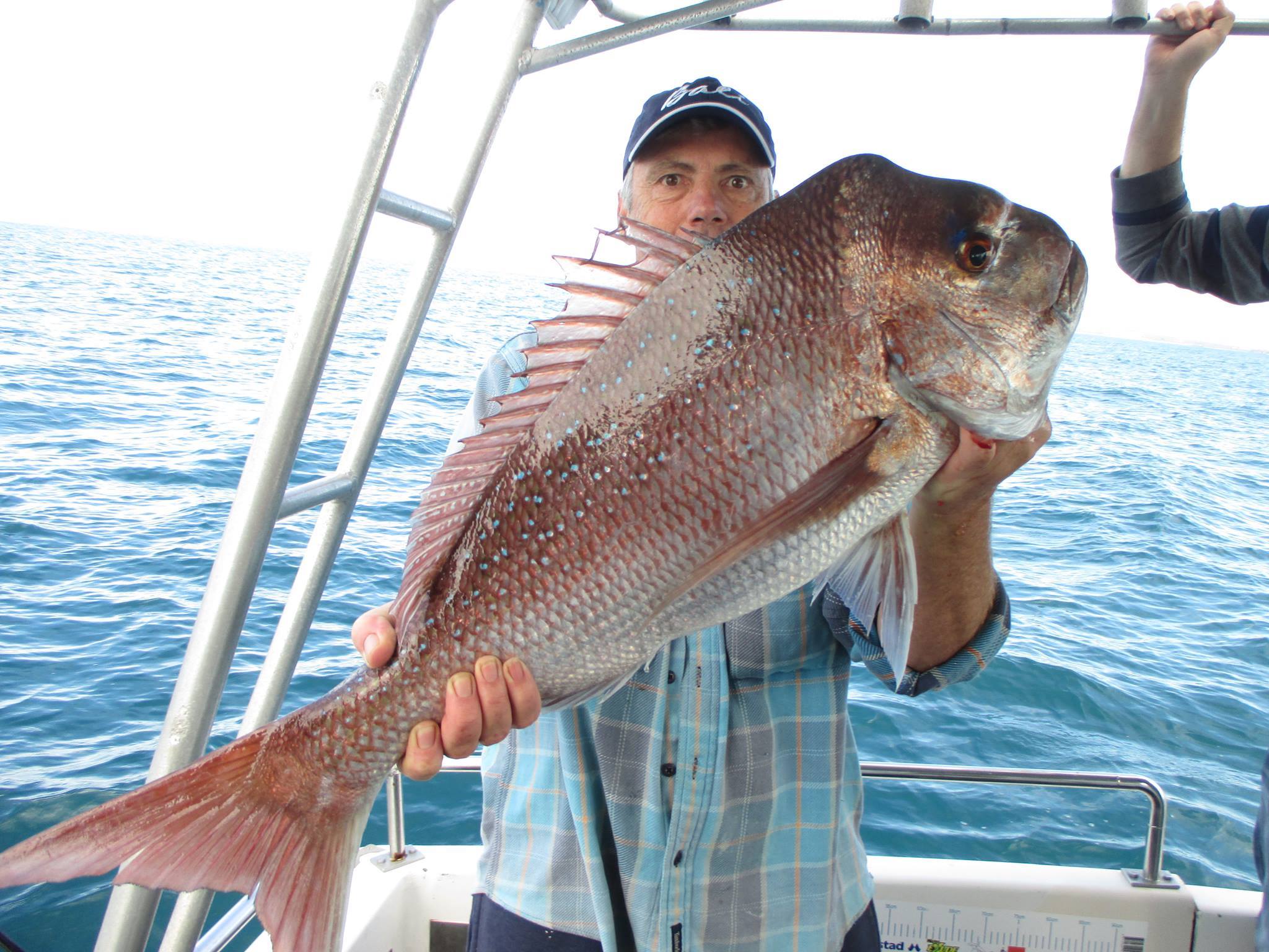 Snapper Fishing Rigs - True Blue Fishing Charters Gold Coast