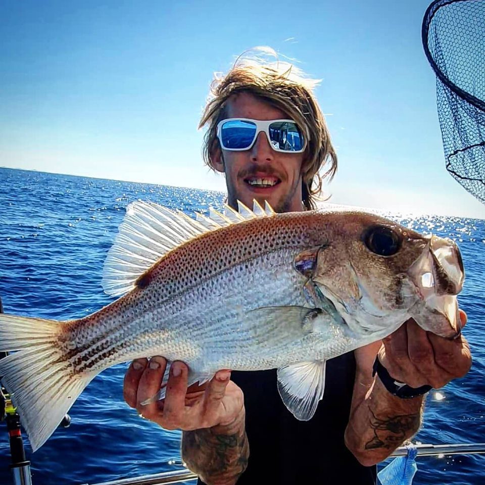 Fish Species Gold Coast - True Blue Fishing Charters