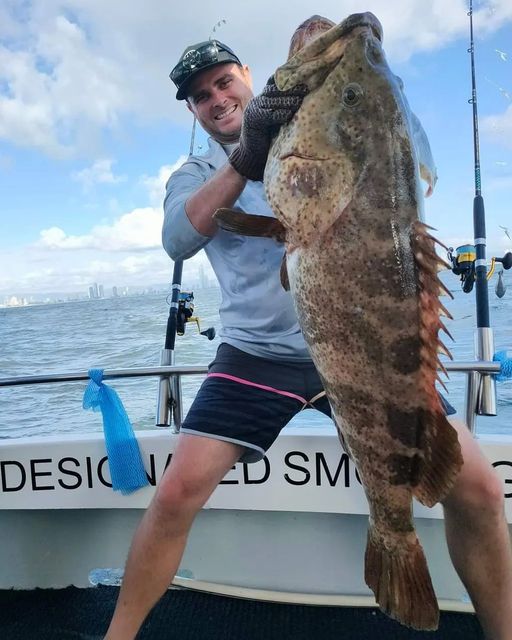 Monster Cod caught on the 24 fathom reef off the gold coast