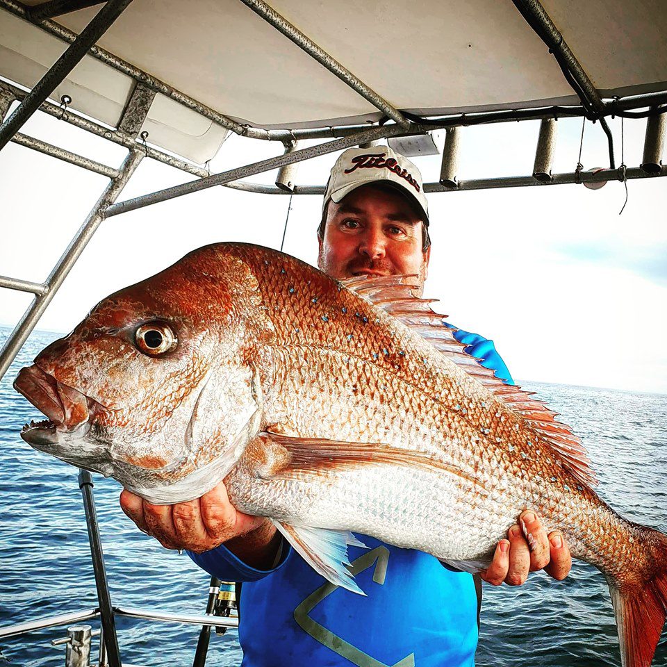 reef fishing charters targeting snapper