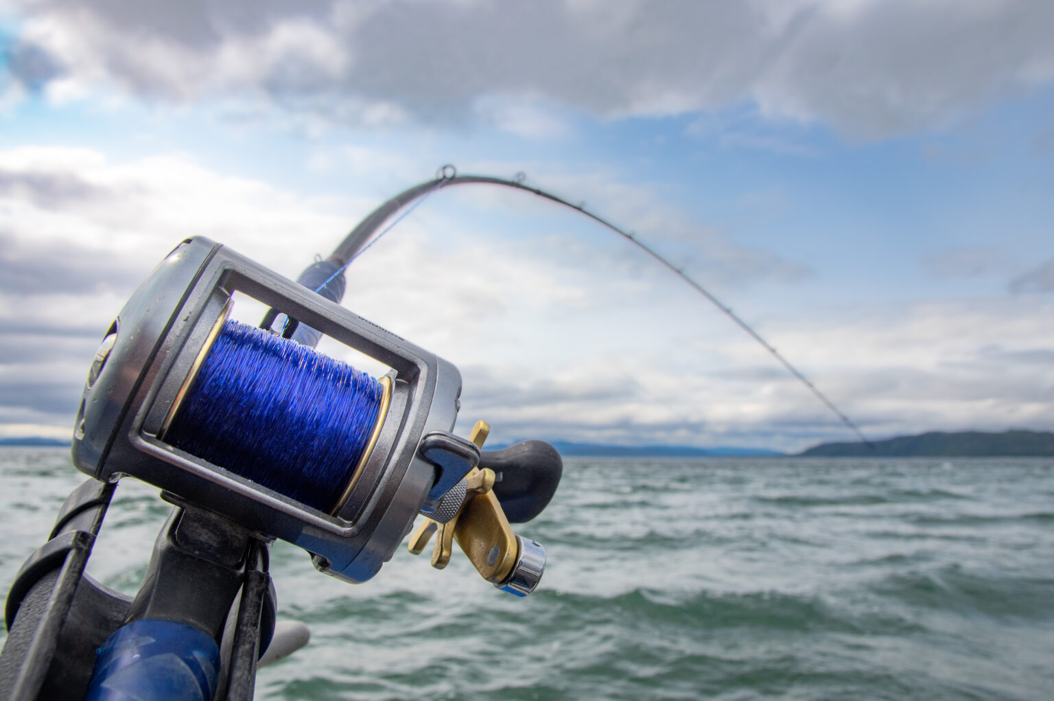 Book a fishing charter