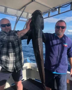 Target Species Abound