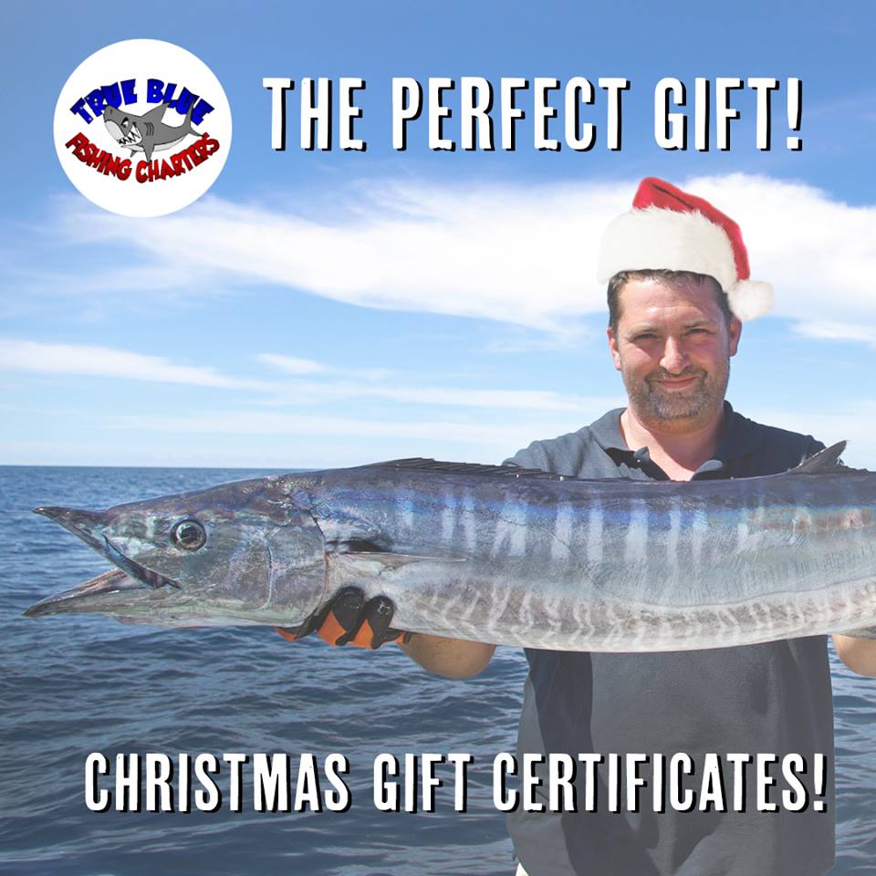 Fishing gift certificates gold coast