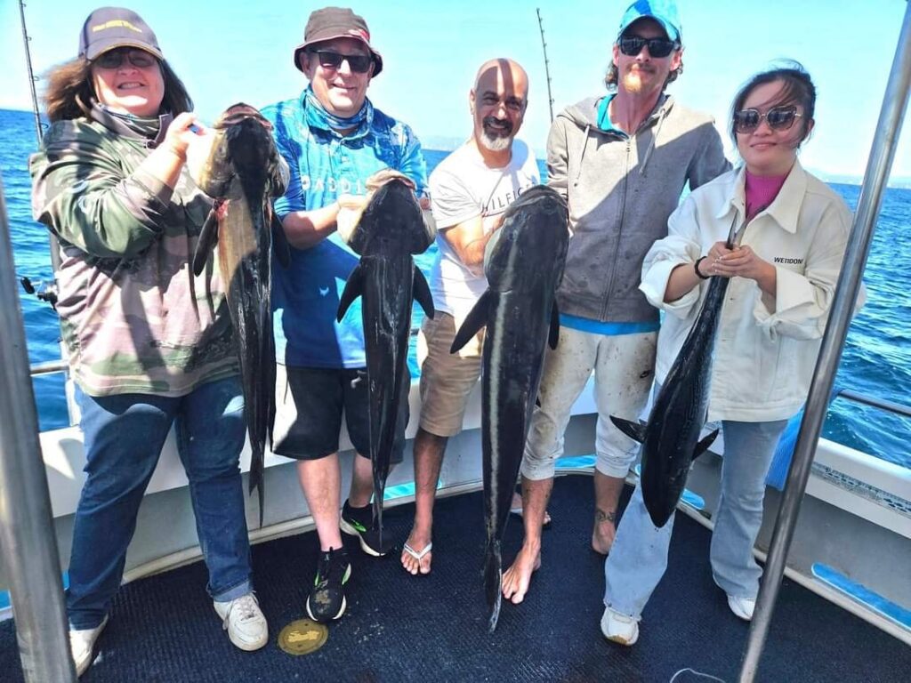 Cobia caught on the 24 fathom reef