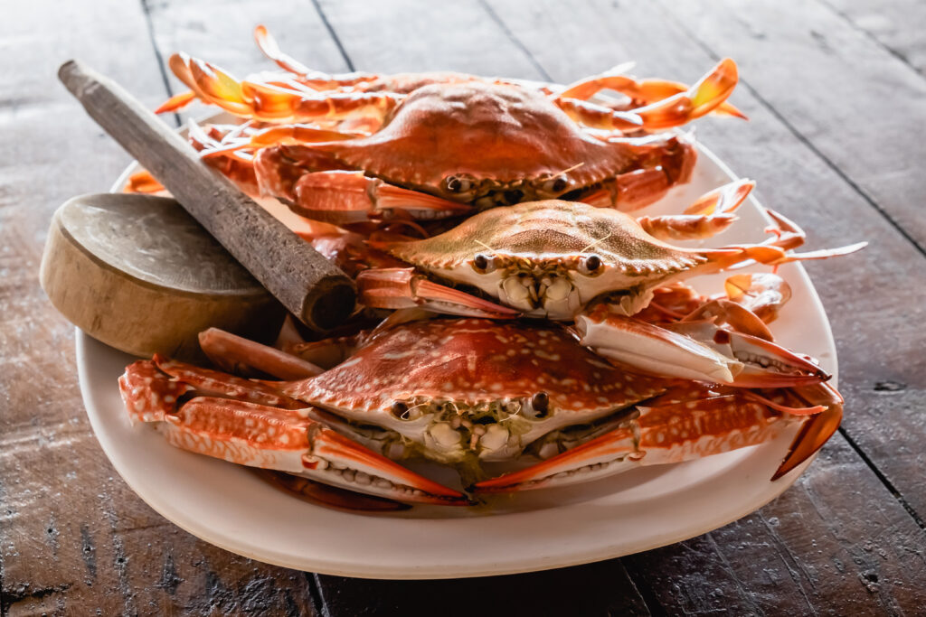 Cooked blue swimmer crabs caught on the gold coast