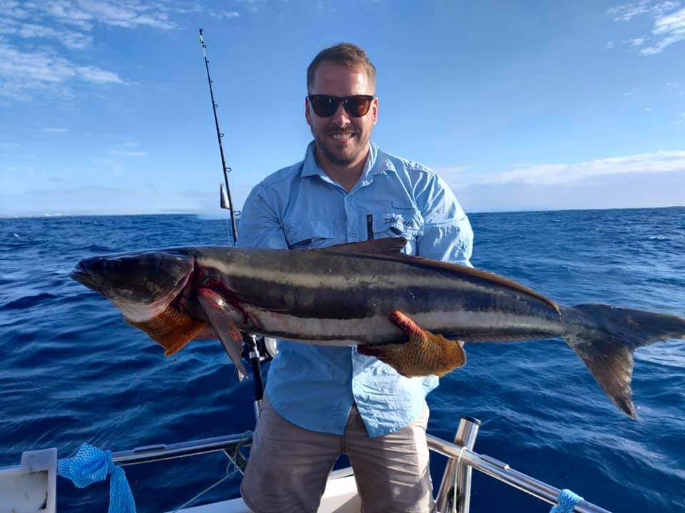 cobia caught fishing offshore from the gold coast