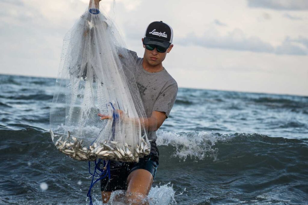 cast netting for bait