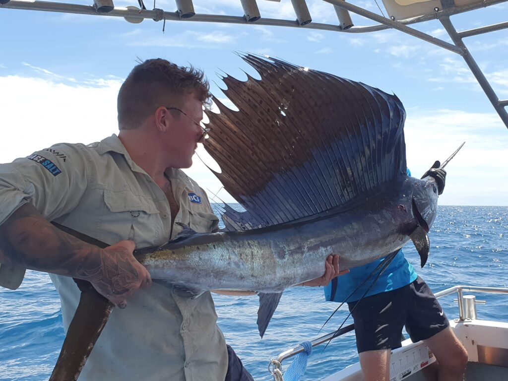 deep sea reef and game fishing