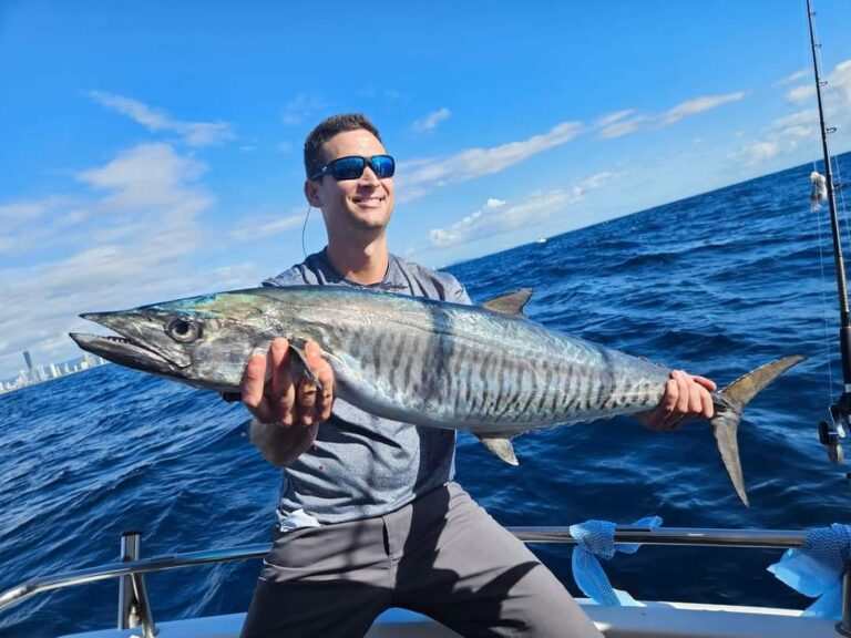 Spanish Mackerel