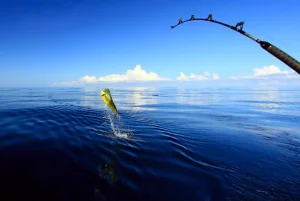 Offshore fishing charter boat cruising Gold Coast waters with True Blue Fishing Charters