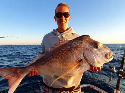 Full day deep sea fishing charter Gold Coast with big game fish catch