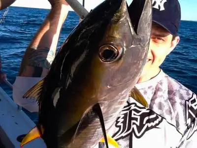 Angler holding large fish on Gold Coast half-day morning fishing trip
