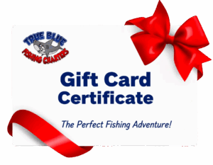 last minute gift idea