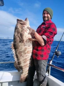 36 fathom Reef Cod