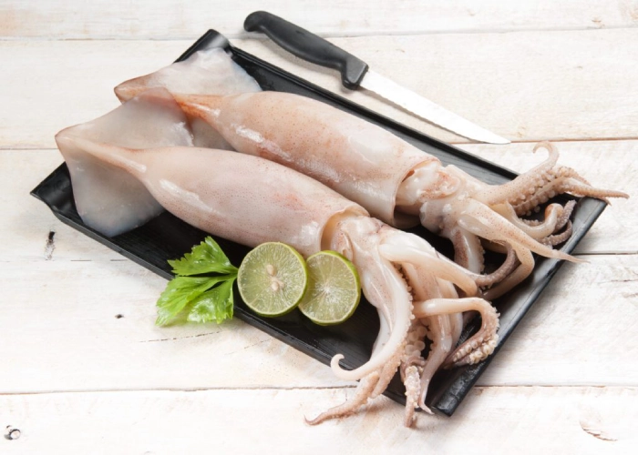 Squid Fishing Gold Coast – How To Catch Squid