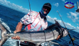 Black marlin caught off the gold coast
