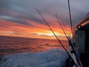 Early morning fishing charter