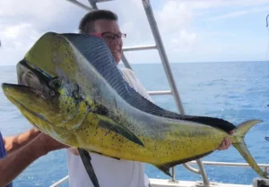 mahi mahi game fishing