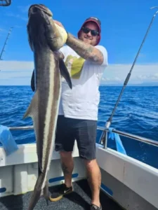 cobia fishing gold coast