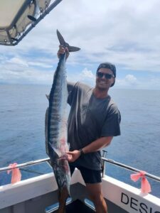 Wahoo caught on a charter boat off the Gold coast