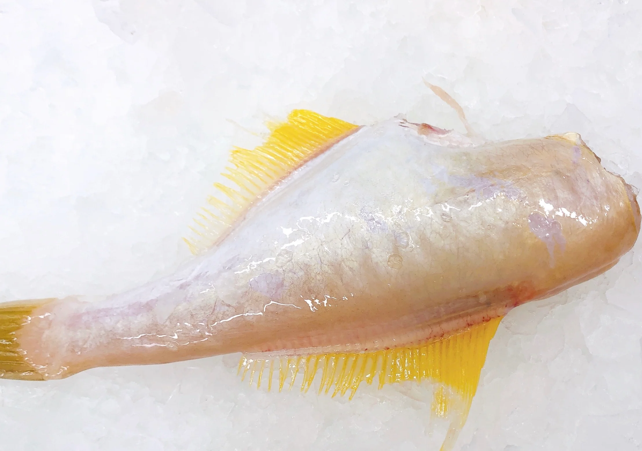 A cleaned and skinned leatherjacket