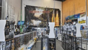 Quality and Affordability