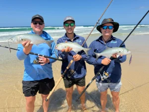 tailor fishing off the beach