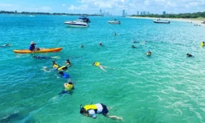 snorkelling gold coast broadwater