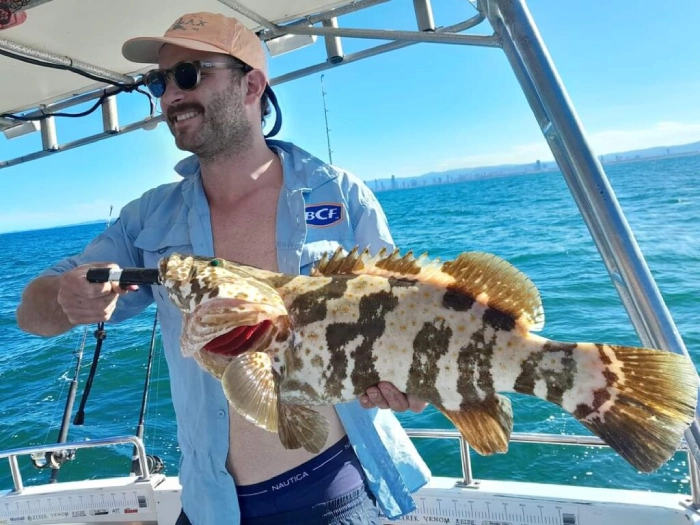 Cod – The Lords of the Reef