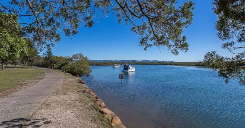 Coombabah Creek Fishing 101: A Must-Read Guide for Anglers