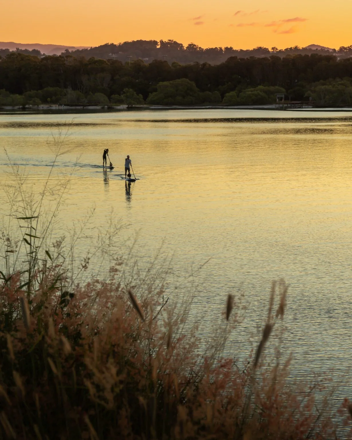 Currumbin Creek: A Water Wonderland