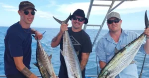 Discover Gold Coast Pelagic Fishing: A True Blue Adventure