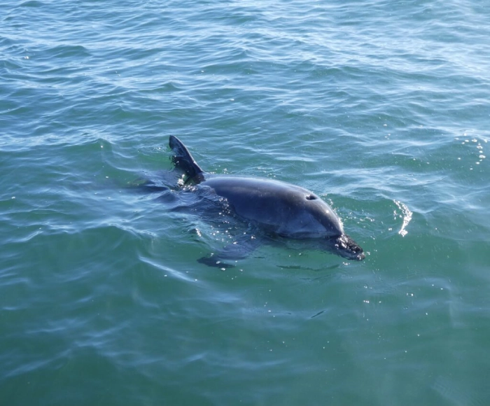 Nestled off the coast of Queensland’s Gold Coast