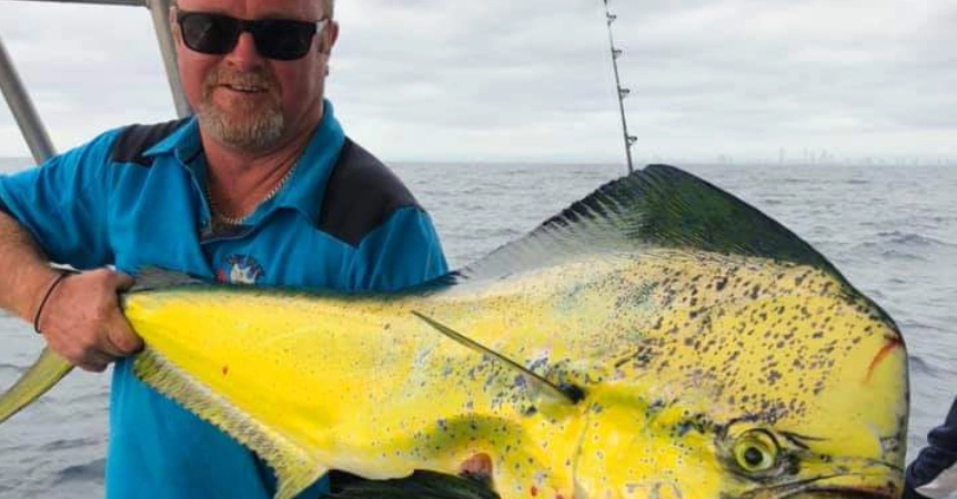 Mahi Mahi Gold Coast Fishing -Dolphin fish -Dollies