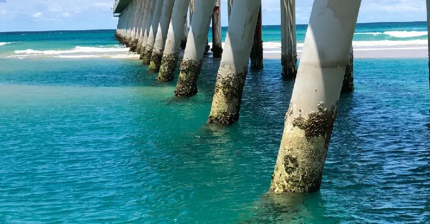 gold-coast-fishing-spots