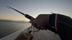 leatherjacket fishing