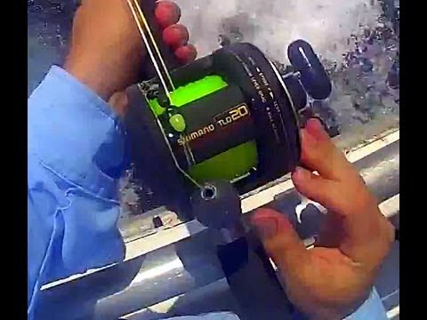 Shimano TLD 20 vs TLD 25 Overhead Reels: Features & Fishing Uses